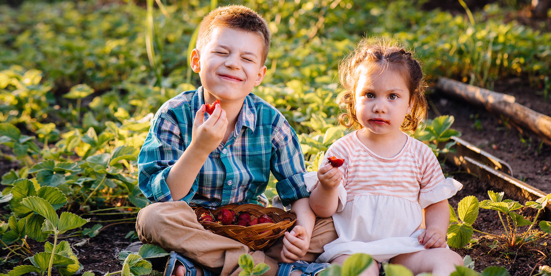 10 Screen-Free Summer Activities for Kids