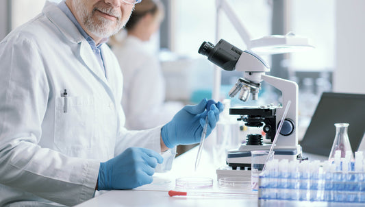 Behind the Scenes: Developing Our New Multi Flavor