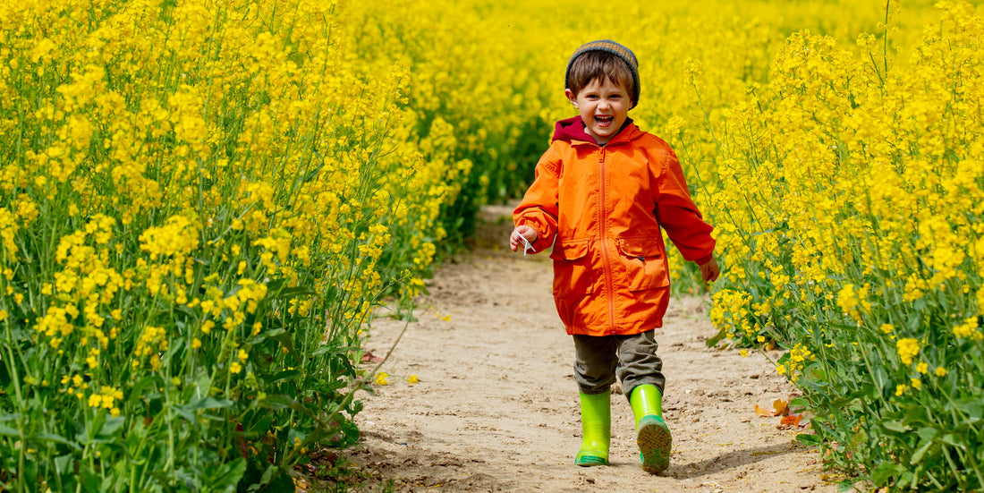 5 Outdoor Activities to Enjoy Spring