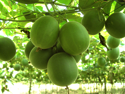 What is monk fruit? Healthy no calorie sweetener